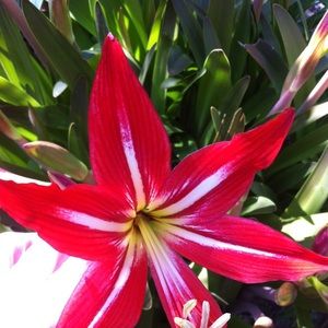 Meet your Posher, Judy